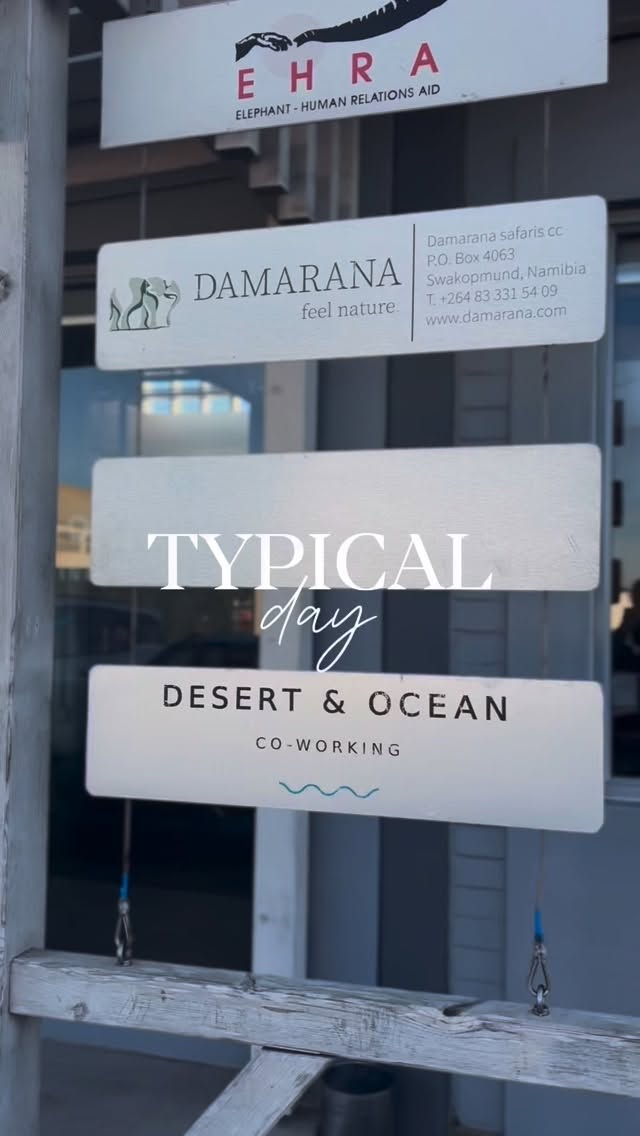 A typical day at Desert & Ocean ☀️
#coworking #swakopmund #namibia