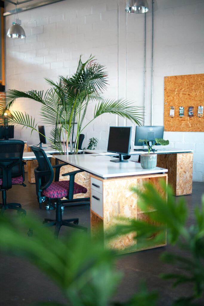 desert-ocean-coworking-namibia-interior-plants-desks-workspace Discover your ideal hot desk Namibia at Desert Ocean with fast Wi-Fi and flexible booking options.
